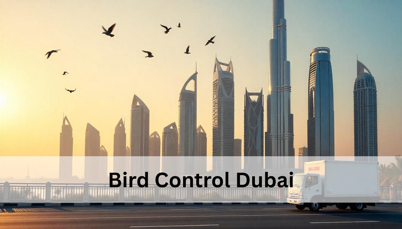 Bird Control Dubai | Expert Solutions for UAE Properties