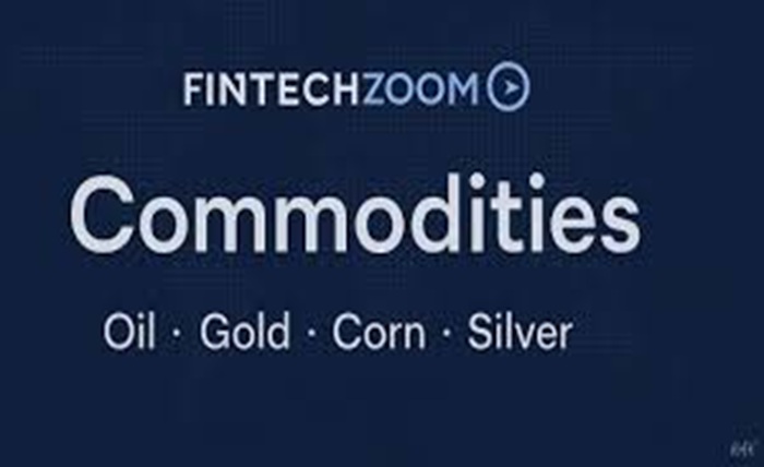 fintech zoom.com